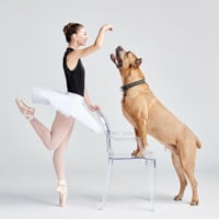 Pratt + Kreidich: Dancers & Dogs